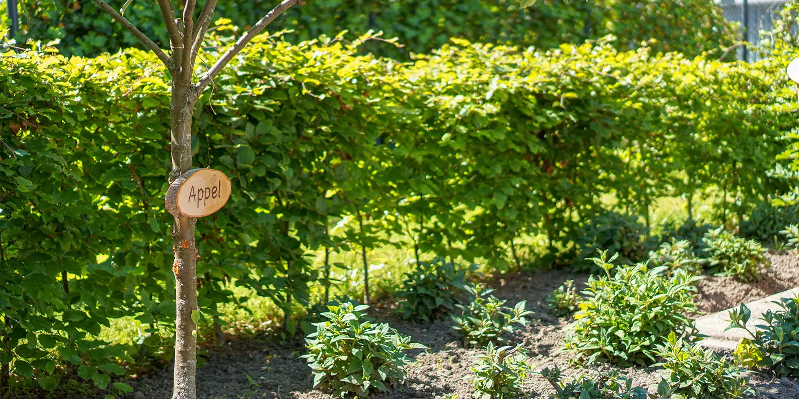 Activiteitenbegeleider Anjana beschrijft het verhaal van een bewoner met dementie die een andere bewoonster leert kennen. Of kende hij haar al?