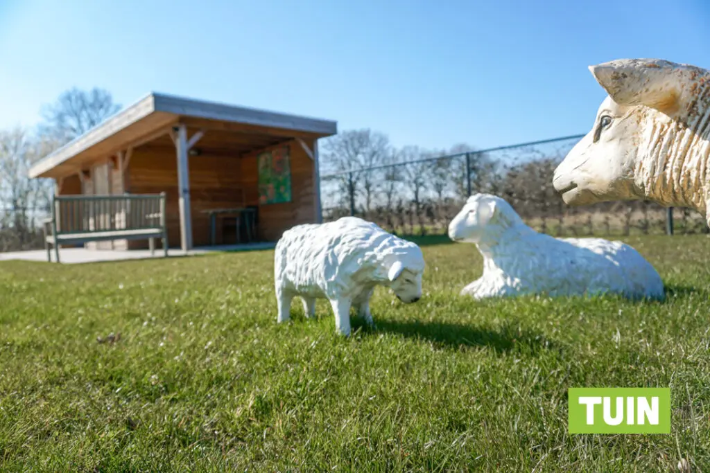 Een foto van de tuin van Het Biesemhuis van Dagelijks Leven waar mensen met dementie kleinschalig en betaalbaar wonen in een particuliere zorginstelling