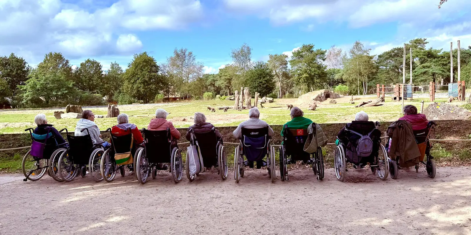 De bewoners van Het Vredehofhuis, onze kleinschalige woonzorglocatie voor mensen met dementie in Spijkenisse, ging samen met het televisieprogramma Max Maakt Mogelijk op pad naar Beekse Bergen. Op de foto de bewoners op de rug gezien terwijl ze kijken naar olifanten.