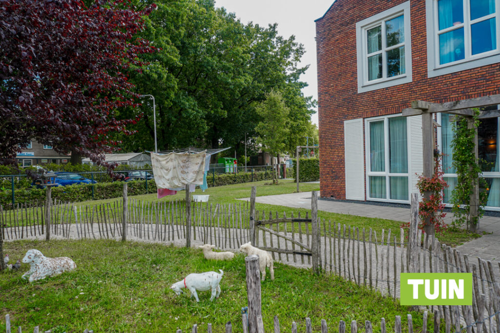 Schaapjes in de tuin van Het Gofferthuis in Nijmegen voor mensen met dementie