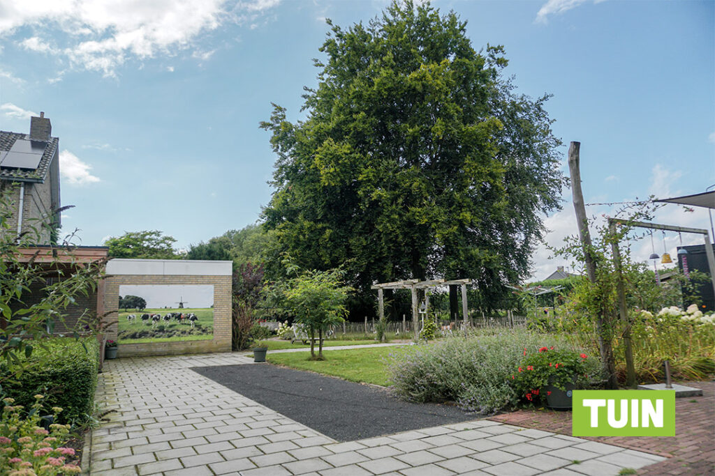 Een foto van de moestuin van Het Orgelhuis van Dagelijks Leven waar mensen met dementie kleinschalig en betaalbaar wonen in een particuliere zorginstelling